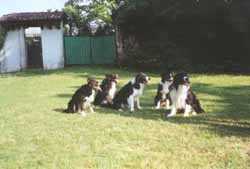 Foto di gruppo