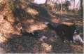 Foto 01