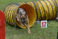 Agility