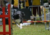 FETCHING DAYAN
