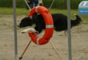 FETCHING DAYAN